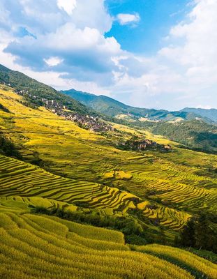 仅售298元，桂林龙胜龙脊梯田，寻找挂在天边的美景、稻子金黄纯玩2日游,10月12.14.19.21号成团有位！