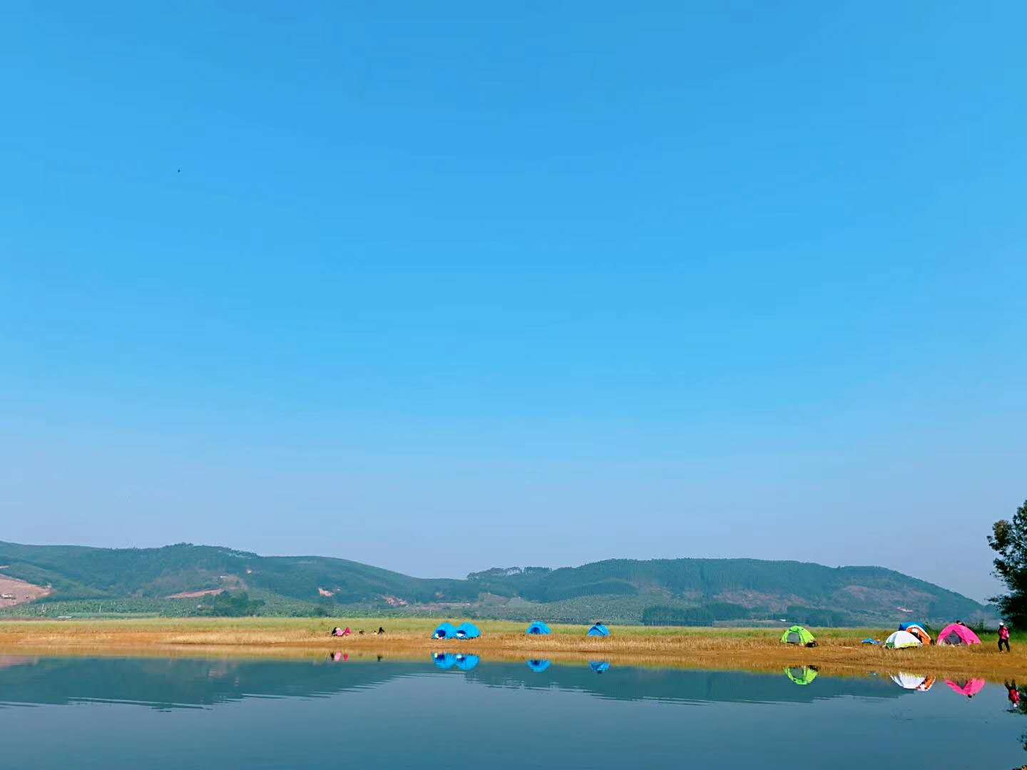 微信图片_20200805124735.jpg