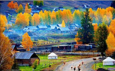 2025暑假7月26-8月6号新疆北疆12日游