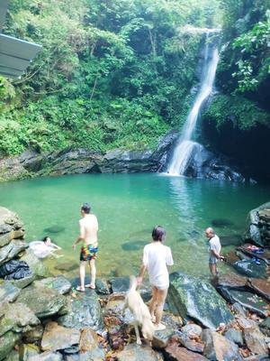 上林蝴蝶谷+龙门峡谷一日游含简餐