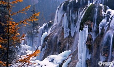 五一(5月1-4)轿子雪山4日游728